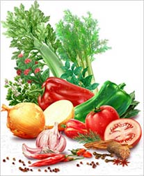 Legumes- Ilustração de alimentos para portfolio de embalagens