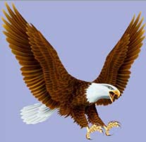 Ilustração de águia americana em vetor.